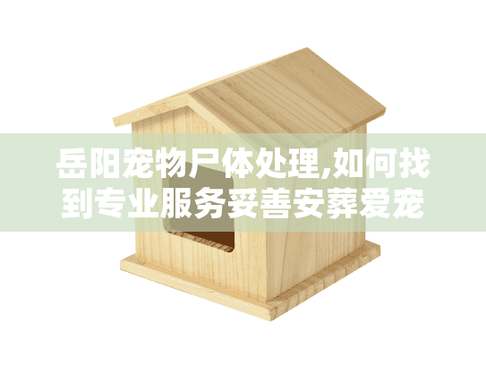 岳阳宠物尸体处理,如何找到专业服务妥善安葬爱宠？