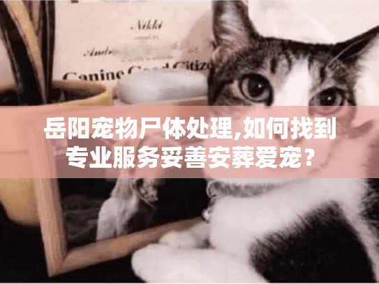 岳阳宠物尸体处理,如何找到专业服务妥善安葬爱宠？