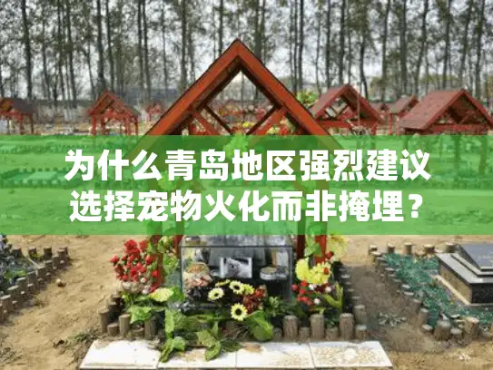 为什么青岛地区强烈建议选择宠物火化而非掩埋？