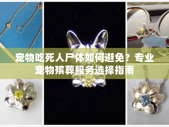 宠物吃死人尸体如何避免？专业宠物殡葬服务选择指南