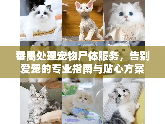 番禺处理宠物尸体服务,告别爱宠的专业指南与贴心方案 番禺处理宠物尸体服务,告别爱宠的专业指南与贴心方案