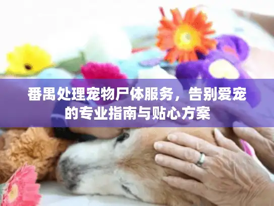 番禺处理宠物尸体服务,告别爱宠的专业指南与贴心方案 番禺处理宠物尸体服务,告别爱宠的专业指南与贴心方案