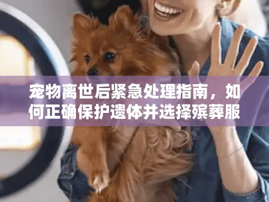 宠物离世后紧急处理指南，如何正确保护遗体并选择殡葬服务