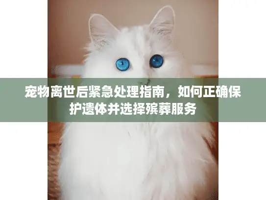 宠物离世后紧急处理指南，如何正确保护遗体并选择殡葬服务