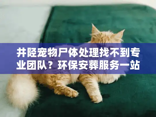 井陉宠物尸体处理找不到专业团队？环保安葬服务一站式解决！