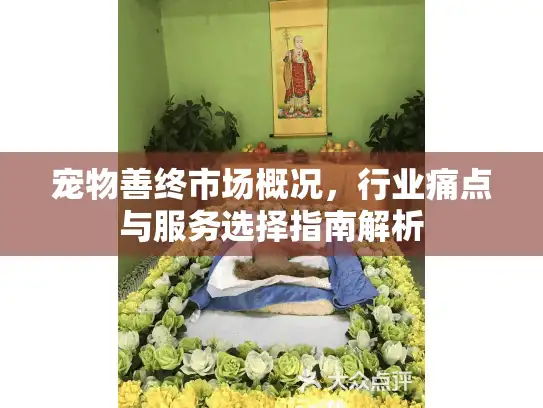 宠物善终市场概况，行业痛点与服务选择指南解析