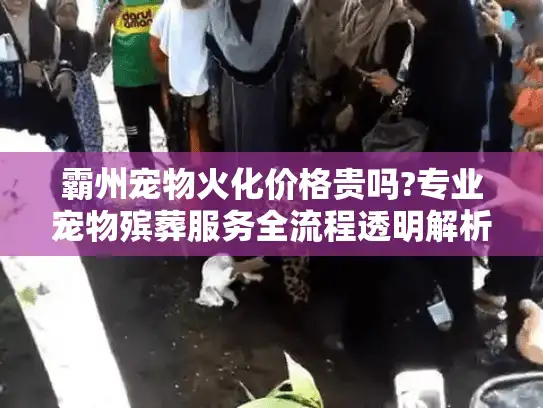 霸州宠物火化价格贵吗?专业宠物殡葬服务全流程透明解析