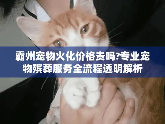 霸州宠物火化价格贵吗?专业宠物殡葬服务全流程透明解析