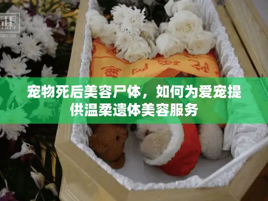 宠物死后美容尸体，如何为爱宠提供温柔遗体美容服务