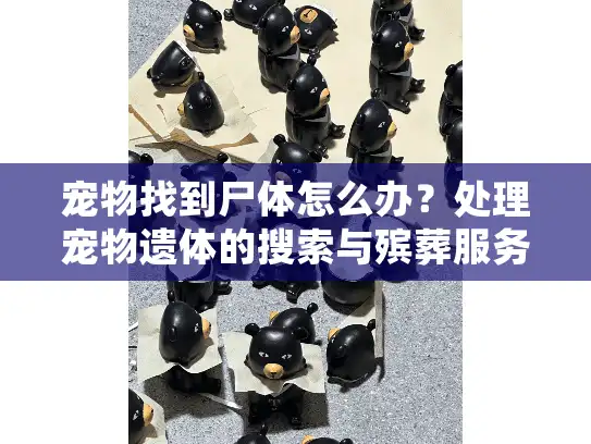 宠物找到尸体怎么办?处理宠物遗体的搜索与殡葬服务全指南 宠物找到尸体怎么办?处理宠物遗体的搜索与殡葬服务全指南