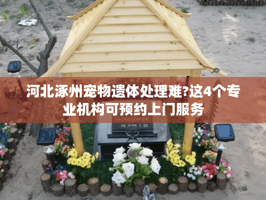 河北涿州宠物遗体处理难?这4个专业机构可预约上门服务