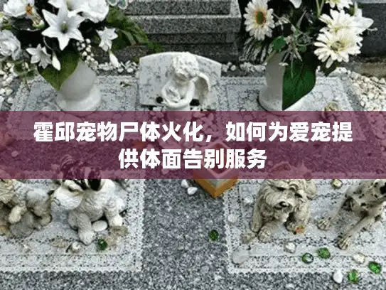 霍邱宠物尸体火化，如何为爱宠提供体面告别服务