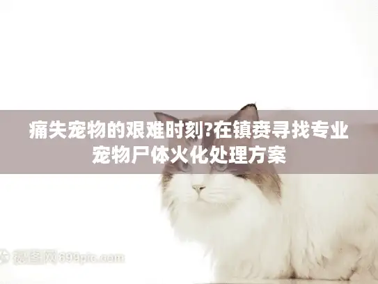 痛失宠物的艰难时刻?在镇赉寻找专业宠物尸体火化处理方案