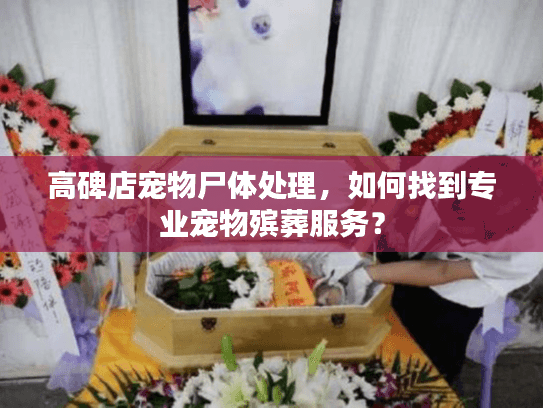 高碑店宠物尸体处理，如何找到专业宠物殡葬服务？