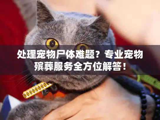 处理宠物尸体难题？专业宠物殡葬服务全方位解答！