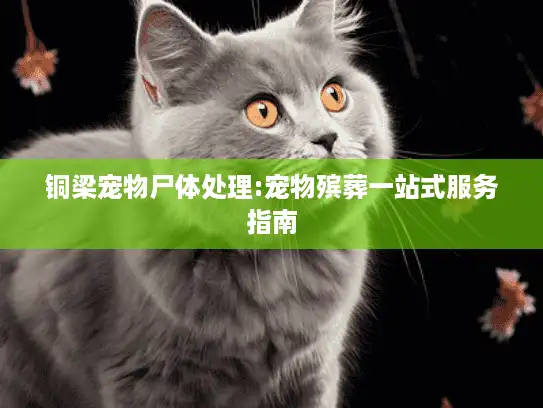 铜梁宠物尸体处理:宠物殡葬一站式服务指南