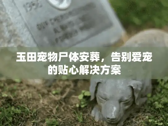 玉田宠物尸体安葬,告别爱宠的贴心解决方案 玉田宠物尸体安葬,告别爱宠的贴心解决方案