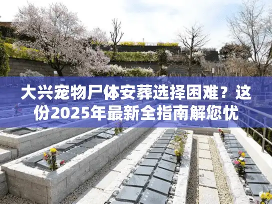 大兴宠物尸体安葬选择困难?这份2025年最新全指南解您忧 大兴宠物尸体安葬选择困难?这份2025年最新全指南解您忧