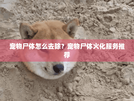 宠物尸体怎么去除？宠物尸体火化服务推荐