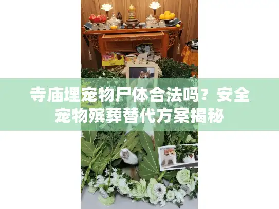 寺庙埋宠物尸体合法吗？安全宠物殡葬替代方案揭秘