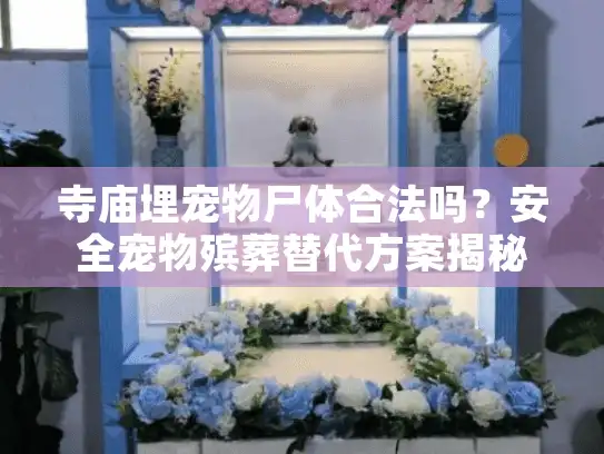 寺庙埋宠物尸体合法吗？安全宠物殡葬替代方案揭秘