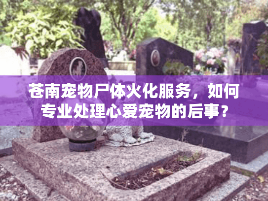 苍南宠物尸体火化服务,如何专业处理心爱宠物的后事? 苍南宠物尸体火化服务,如何专业处理心爱宠物的后事?
