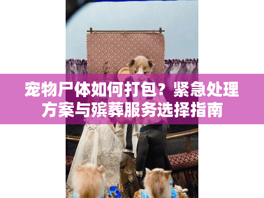 宠物尸体如何打包?紧急处理方案与殡葬服务选择指南 宠物尸体如何打包?紧急处理方案与殡葬服务选择指南