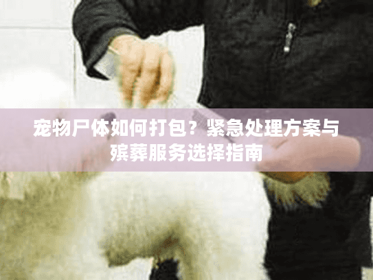 宠物尸体如何打包?紧急处理方案与殡葬服务选择指南 宠物尸体如何打包?紧急处理方案与殡葬服务选择指南