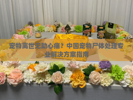 宠物离世无助心痛?中国宠物尸体处理专业解决方案指南 宠物离世无助心痛?中国宠物尸体处理专业解决方案指南