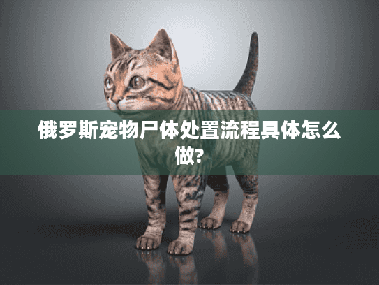 俄罗斯宠物尸体处置流程具体怎么做?