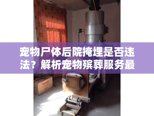 宠物尸体后院掩埋是否违法?解析宠物殡葬服务最新规定 宠物尸体后院掩埋是否违法?解析宠物殡葬服务最新规定