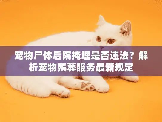 宠物尸体后院掩埋是否违法?解析宠物殡葬服务最新规定 宠物尸体后院掩埋是否违法?解析宠物殡葬服务最新规定