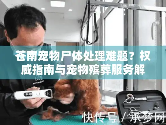 苍南宠物尸体处理难题？权威指南与宠物殡葬服务解决方案