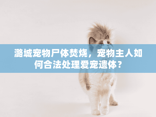 潞城宠物尸体焚烧,宠物主人如何合法处理爱宠遗体? 潞城宠物尸体焚烧,宠物主人如何合法处理爱宠遗体?