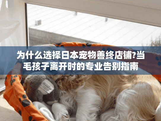 为什么选择日本宠物善终店铺?当毛孩子离开时的专业告别指南