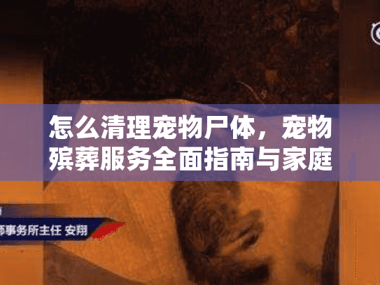 怎么清理宠物尸体，宠物殡葬服务全面指南与家庭处理技巧