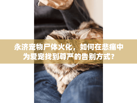 永济宠物尸体火化，如何在悲痛中为爱宠找到尊严的告别方式？