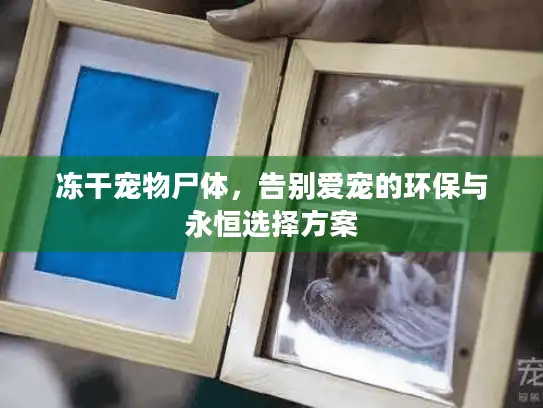 冻干宠物尸体,告别爱宠的环保与永恒选择方案 冻干宠物尸体,告别爱宠的环保与永恒选择方案