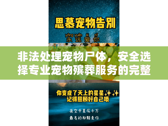 非法处理宠物尸体，安全选择专业宠物殡葬服务的完整指南