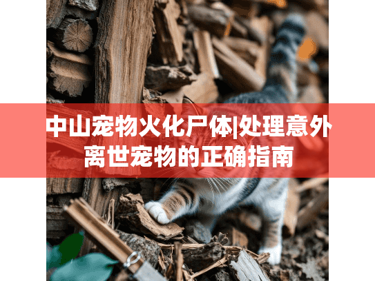 中山宠物火化尸体|处理意外离世宠物的正确指南