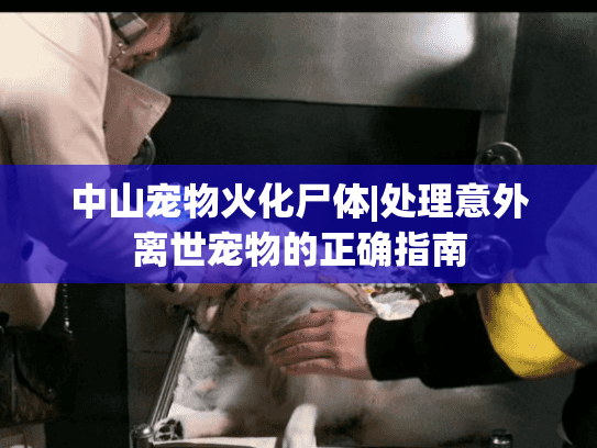 中山宠物火化尸体|处理意外离世宠物的正确指南