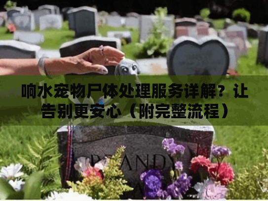 响水宠物尸体处理服务详解？让告别更安心（附完整流程）