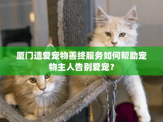 厦门遗爱宠物善终服务如何帮助宠物主人告别爱宠? 厦门遗爱宠物善终服务如何帮助宠物主人告别爱宠?
