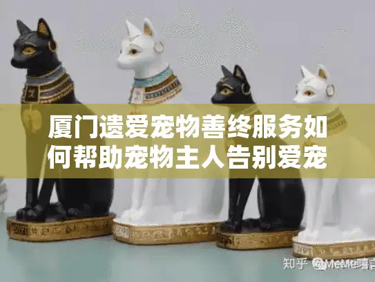 厦门遗爱宠物善终服务如何帮助宠物主人告别爱宠? 厦门遗爱宠物善终服务如何帮助宠物主人告别爱宠?