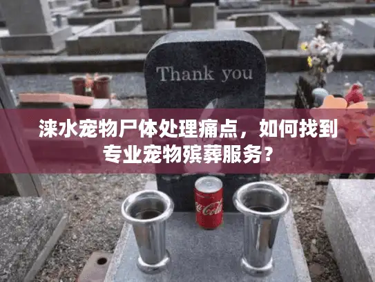 涞水宠物尸体处理痛点，如何找到专业宠物殡葬服务？