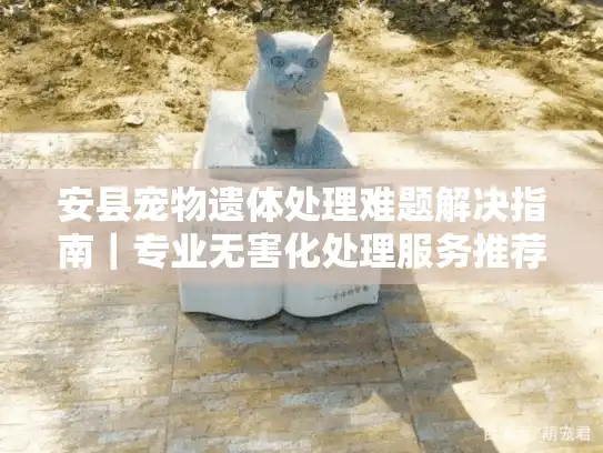 安县宠物遗体处理难题解决指南｜专业无害化处理服务推荐