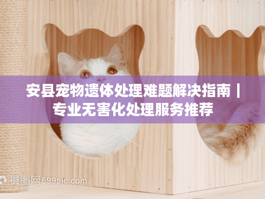 安县宠物遗体处理难题解决指南｜专业无害化处理服务推荐