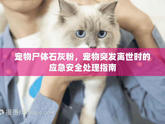 宠物尸体石灰粉,宠物突发离世时的应急安全处理指南 宠物尸体石灰粉,宠物突发离世时的应急安全处理指南