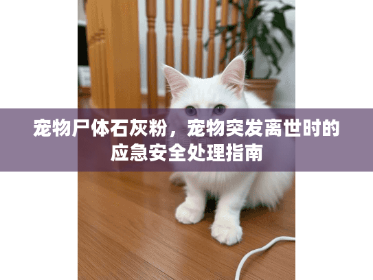 宠物尸体石灰粉,宠物突发离世时的应急安全处理指南 宠物尸体石灰粉,宠物突发离世时的应急安全处理指南
