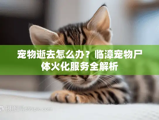 宠物逝去怎么办？临漳宠物尸体火化服务全解析